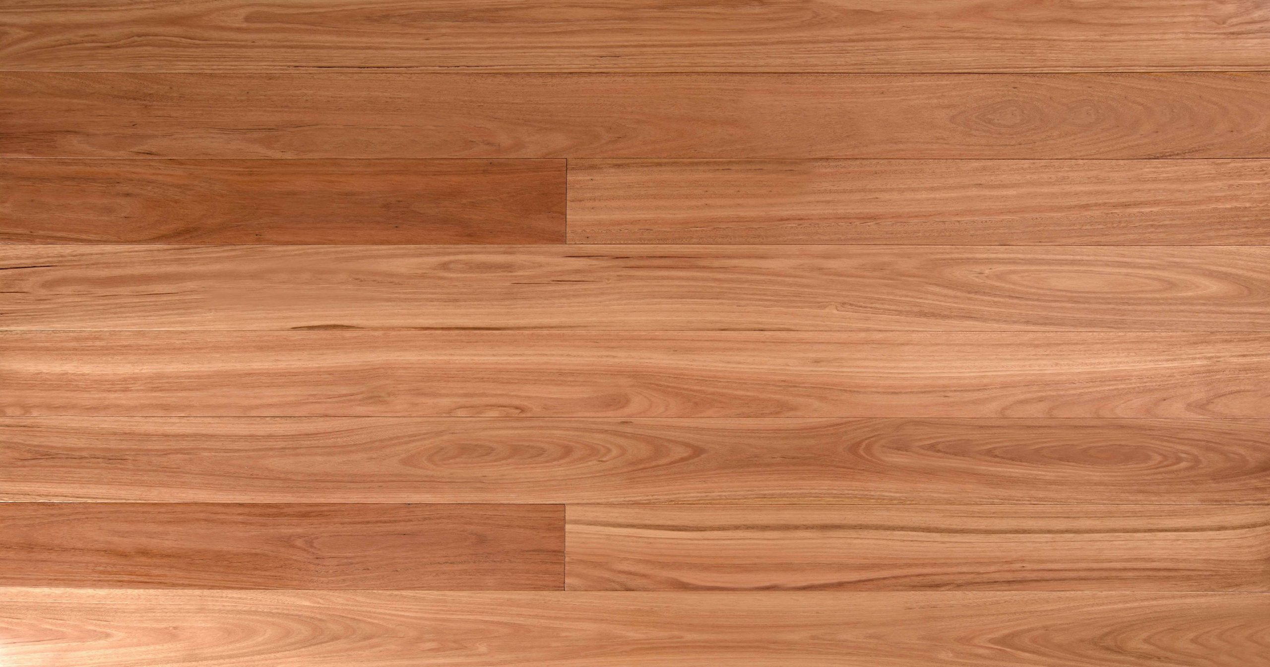 Blackbutt Wooden Land Australian Collection 15mm Engineered Advanced Flooring Services